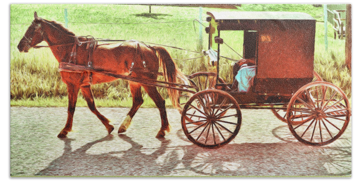 Amish Beach Sheet featuring the photograph Lovers Red Pony by Anthony Baatz
