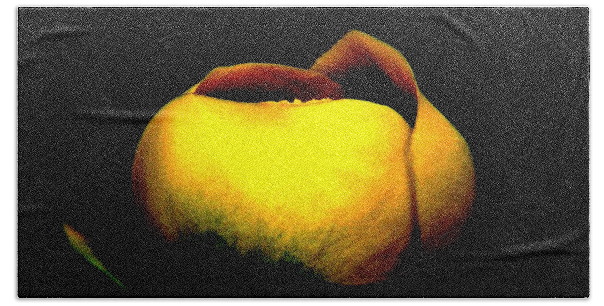 Yellow Lotus Beach Towel featuring the photograph Luminous Lotus by Angela Davies