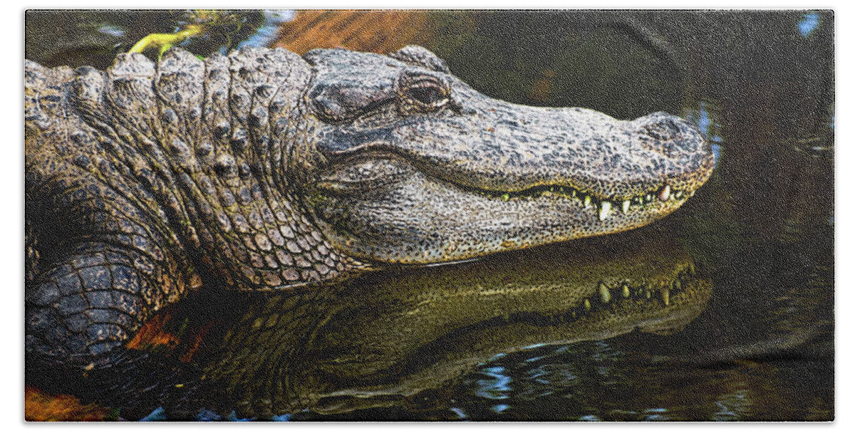 Alligator Beach Towel featuring the photograph Lump On A Log by Christopher Holmes