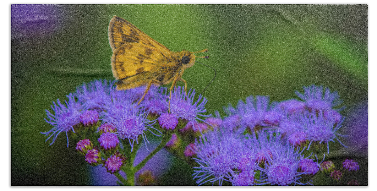 Butterfly Beach Towel featuring the photograph Magic Moment by Bruce Pritchett