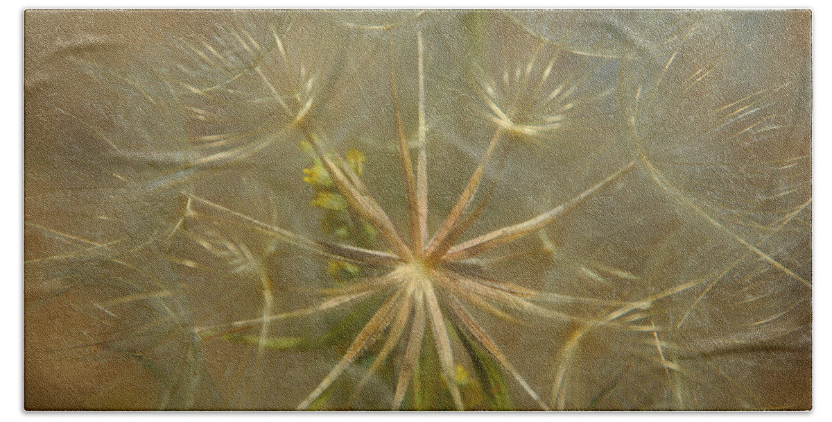 Dandelion Beach Towel featuring the photograph Make A Wish by Donna Blackhall