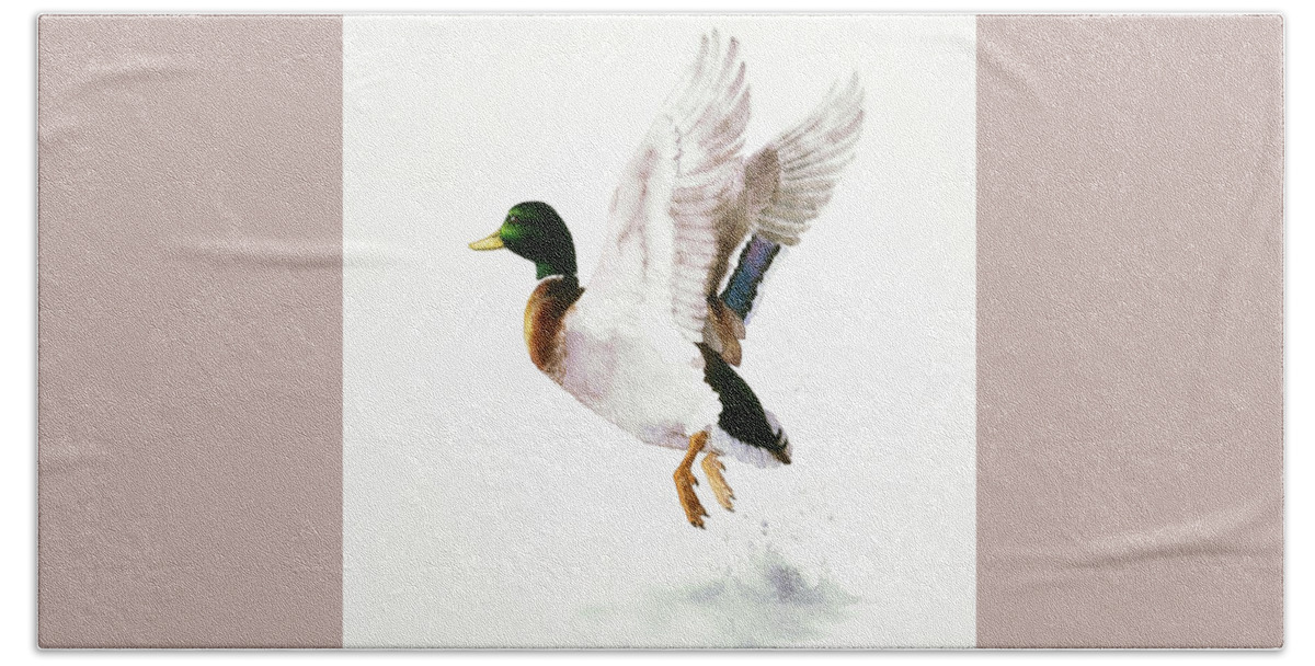 Mallard Beach Sheet featuring the painting Mallard Flying Away Watercolor by Attila Meszlenyi