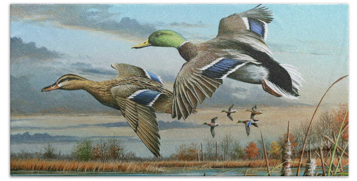 Ducks Beach Sheet featuring the painting Mallards in Flight by Mike Brown