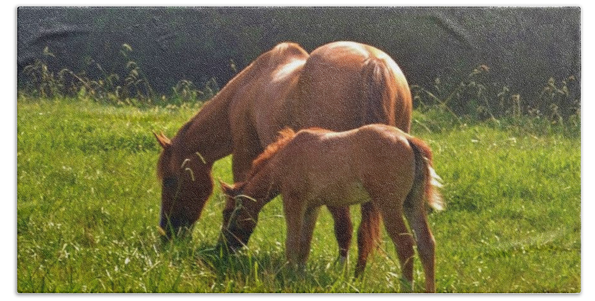 Horses Beach Towel featuring the photograph Mama and Baby by Eileen Brymer