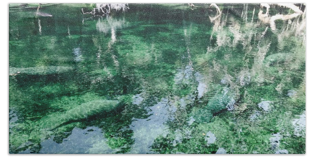 Manatees Beach Towel featuring the photograph Manatees by Michael Albright