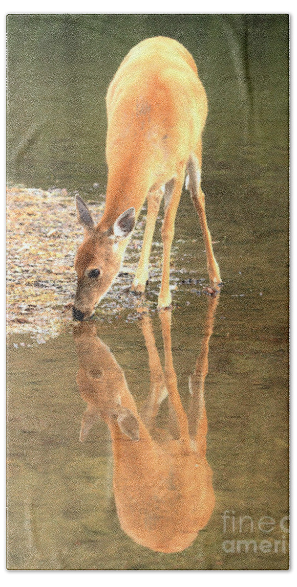 Deer Beach Sheet featuring the photograph Deer Reflections by Adam Jewell
