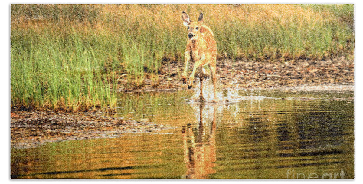 Deer Beach Towel featuring the photograph Junior Dashing Through The Water by Adam Jewell