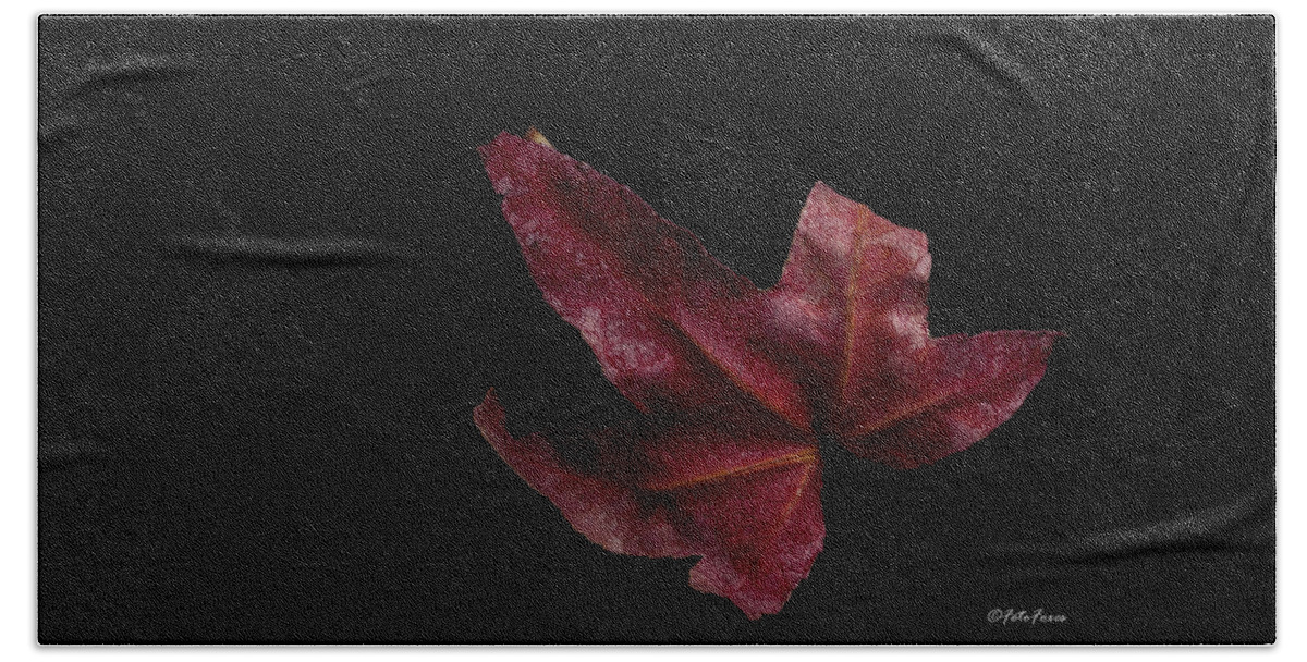 Autumn Beach Towel featuring the photograph Maple Leaf by Alexander Fedin