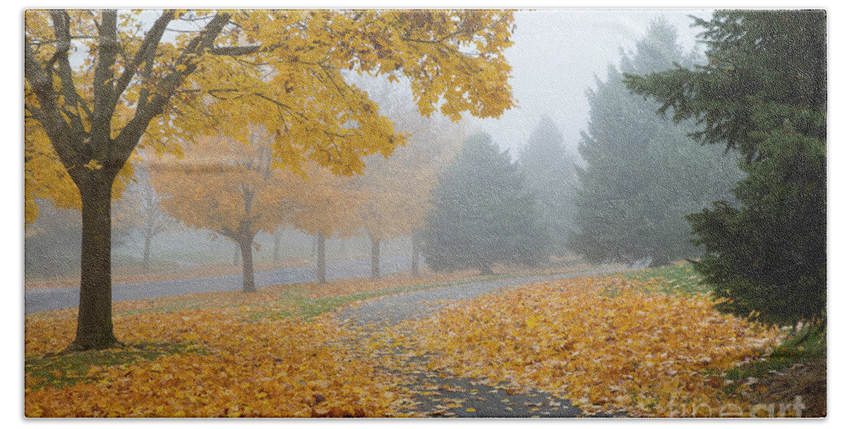 Coeur D'alene Beach Towel featuring the photograph Maple Leaf Path by Idaho Scenic Images Linda Lantzy