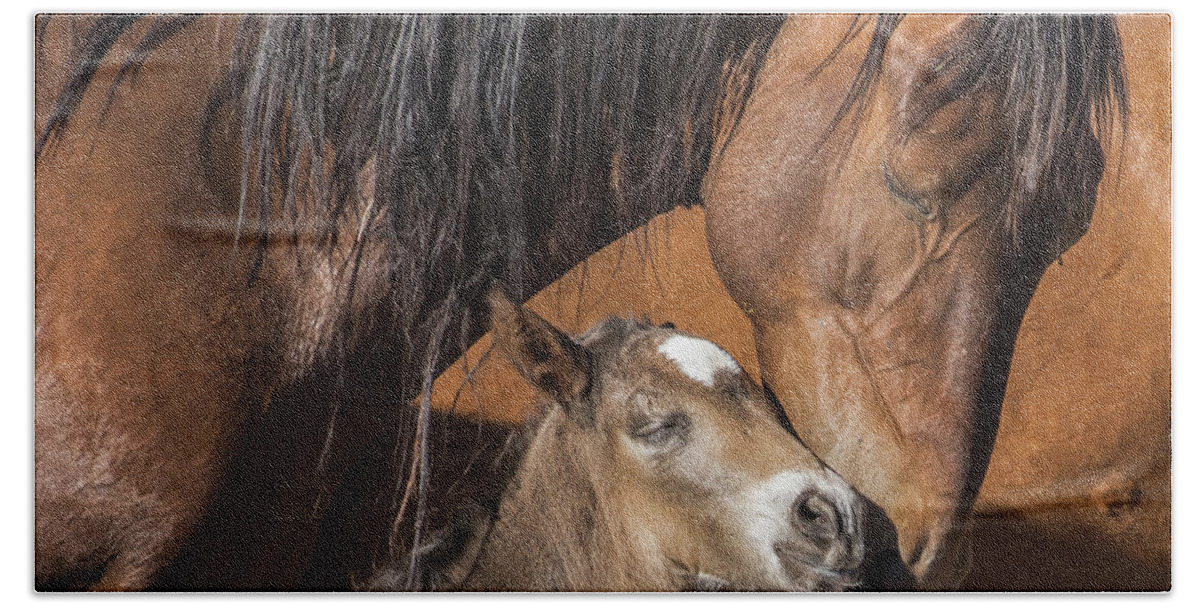  Beach Towel featuring the photograph Mare and foal by John T Humphrey