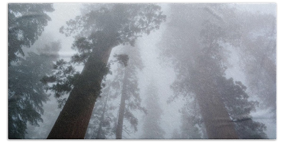 Yosemite National Park Beach Towel featuring the photograph Mariposa Grove Winter by Kyle Hanson