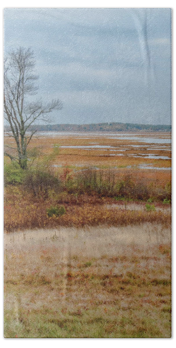 Maine Lobster Boats Beach Towel featuring the photograph Marsh And Tree by Tom Singleton