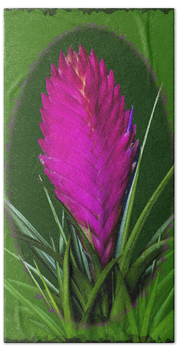 Green Beach Sheet featuring the photograph Maui Flower by Suanne Forster