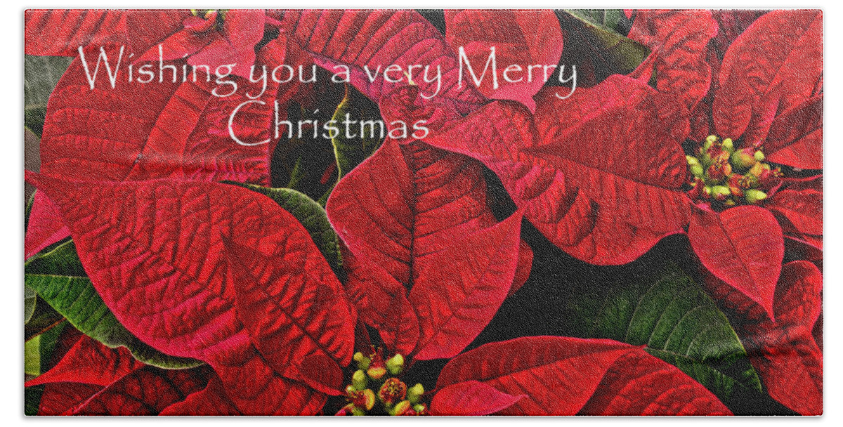 Background Beach Towel featuring the photograph Merry Christmas by Ann Bridges