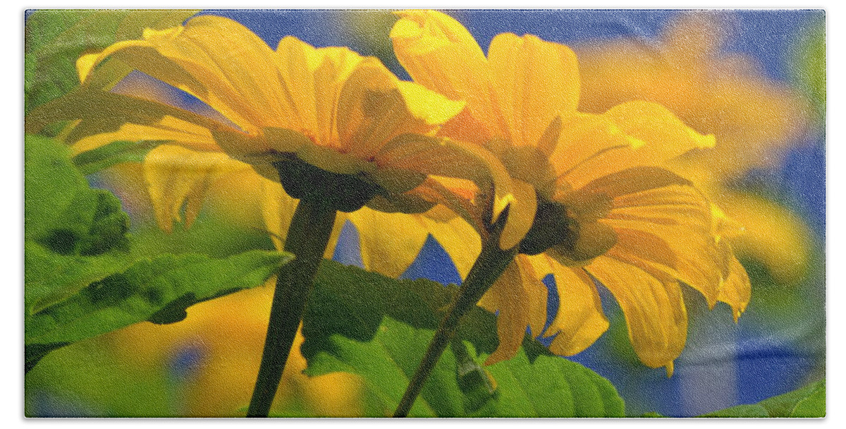 Sunflower Beach Towel featuring the photograph Mexican Sunflower Tree by Melanie Moraga