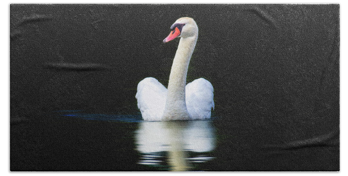 Bird Beach Towel featuring the photograph Midnight Swan Song by Bill and Linda Tiepelman