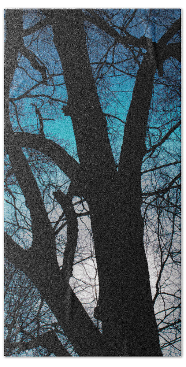 Blue Beach Sheet featuring the photograph Might Oak 16x20 by Leah Palmer