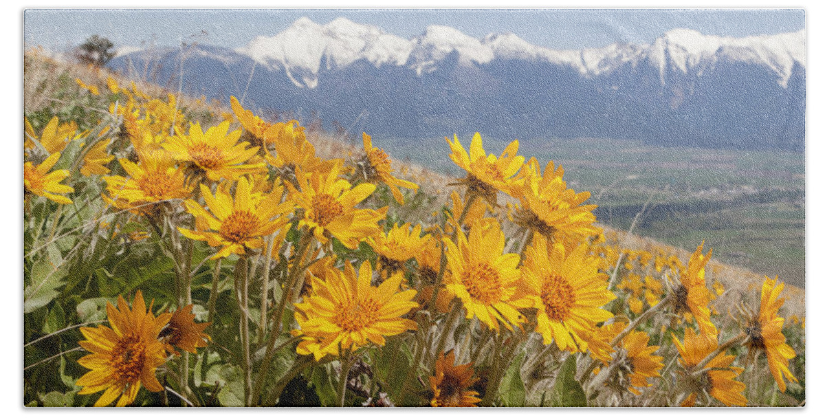 Balsam Beach Towel featuring the photograph Mission Mountain Balsam Blooms by Jack Bell