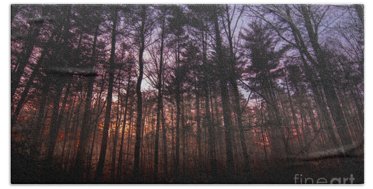 Sunset Beach Towel featuring the photograph Misty Forest Sunset by Mim White