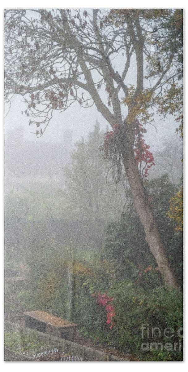Plants Beach Towel featuring the photograph Misty Garden, Great Dixter 2 by Perry Rodriguez