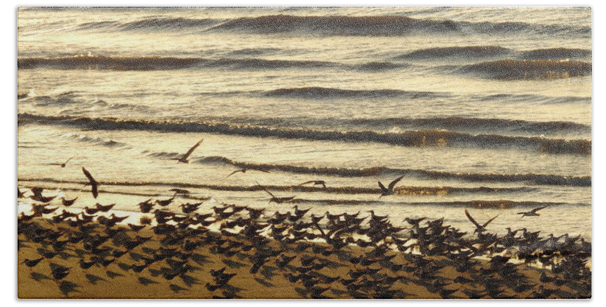 Coastal Birds Beach Towel featuring the digital art Momentous by Jan Gelders