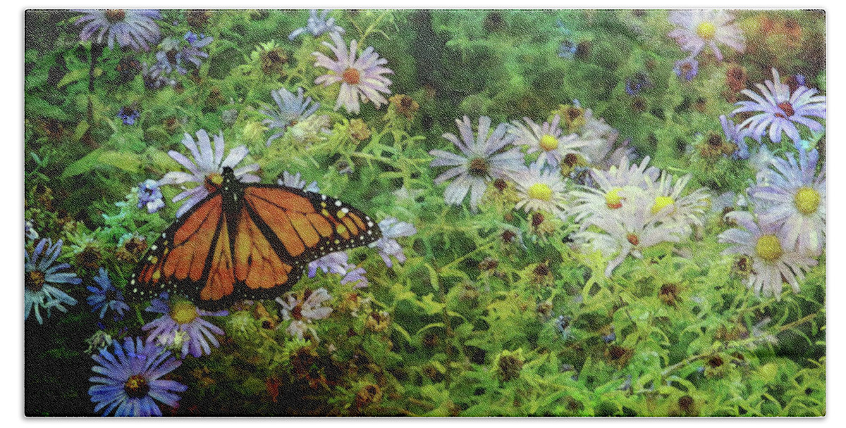 Monarch Butterfly Beach Towel featuring the photograph Monarch And Aster 5626 IDP_2Monarch And Aster 5626 IDP_2 by Steven Ward