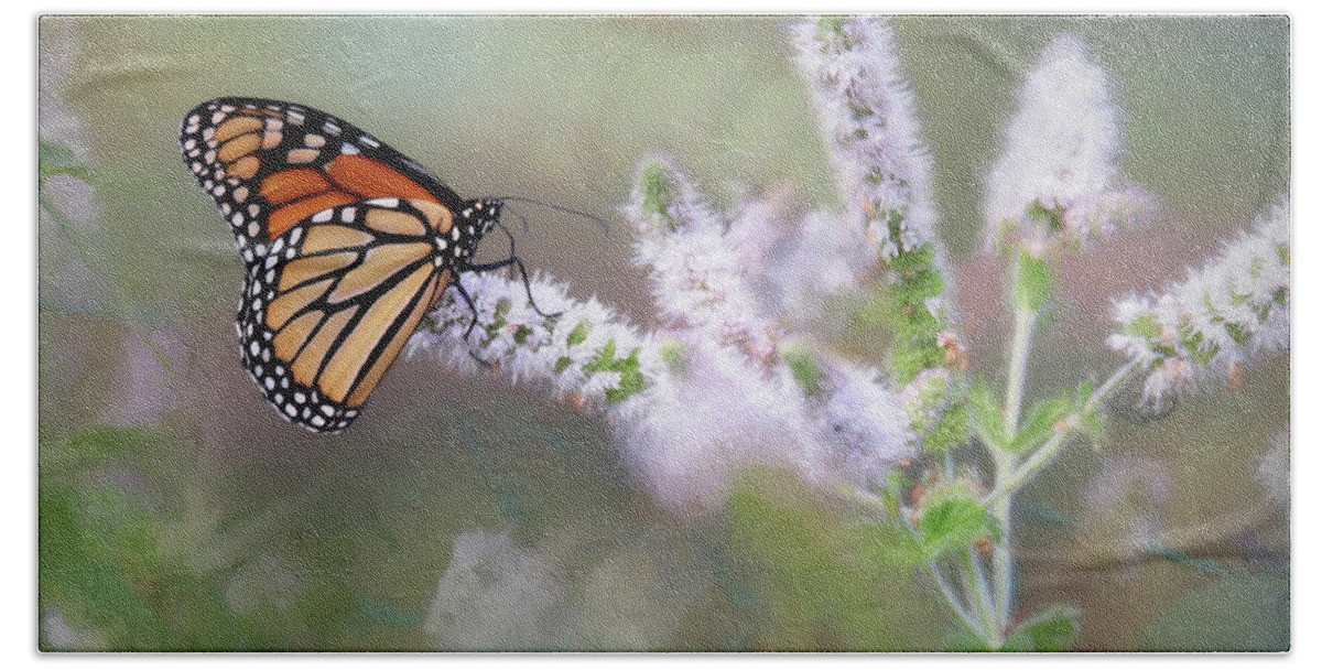Butterfly Beach Sheet featuring the photograph Monarch on Mint 1 by Lori Deiter