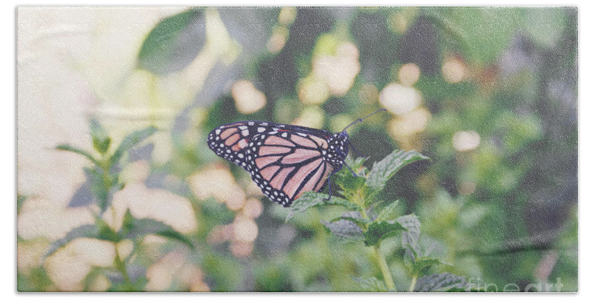 Butterfly Beach Towel featuring the photograph Monarch on mint by Cindy Garber Iverson