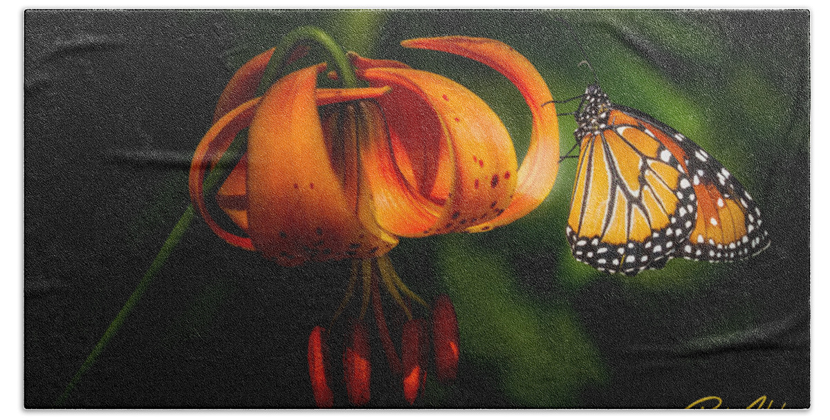 Animals Beach Towel featuring the photograph Monarchs and Tiger Lilies by Rikk Flohr