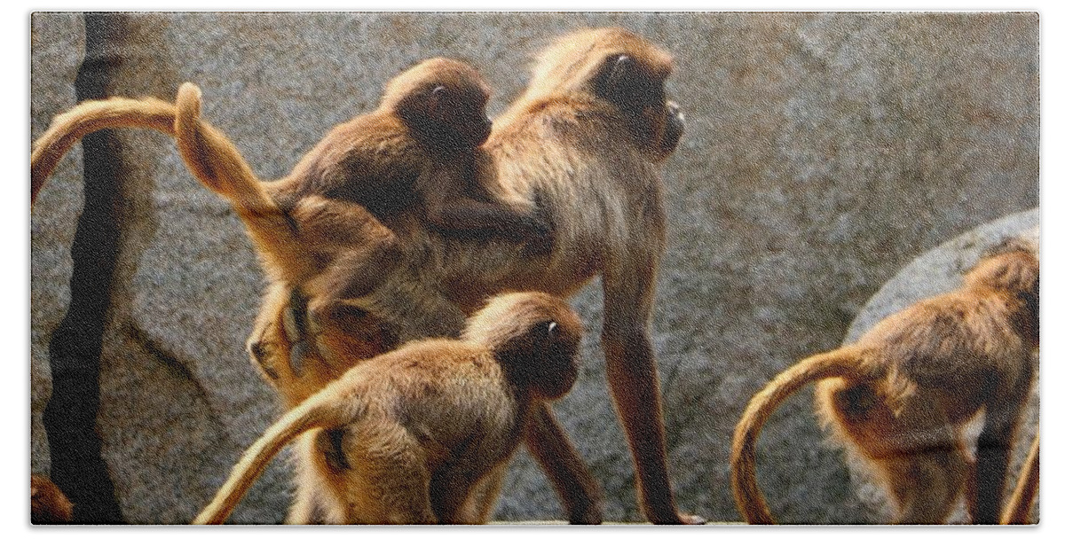 Animal Beach Towel featuring the photograph Monkey Family by Dennis Maier