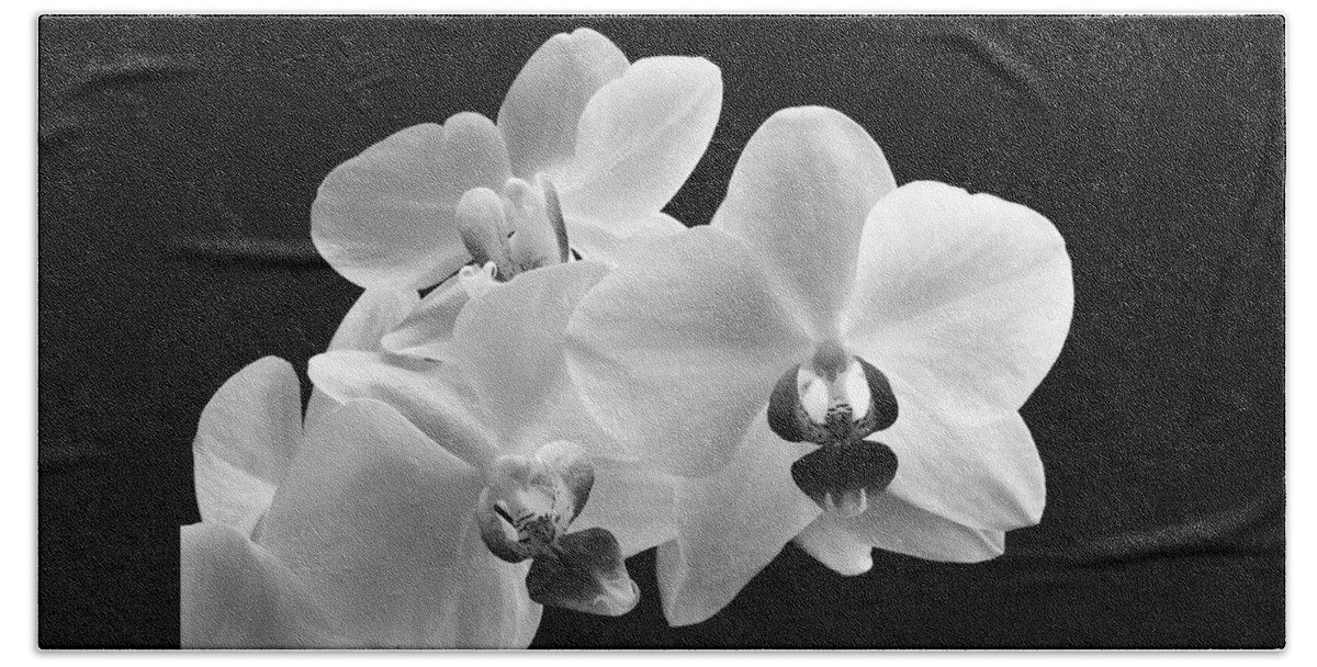 Orchid Beach Towel featuring the photograph Monochrome Orchid by Terence Davis