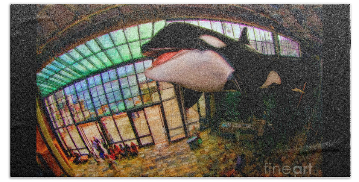 Monterey Bay Aquarium Beach Sheet featuring the photograph Monterey Bay Aquarium Killer Whale by Blake Richards