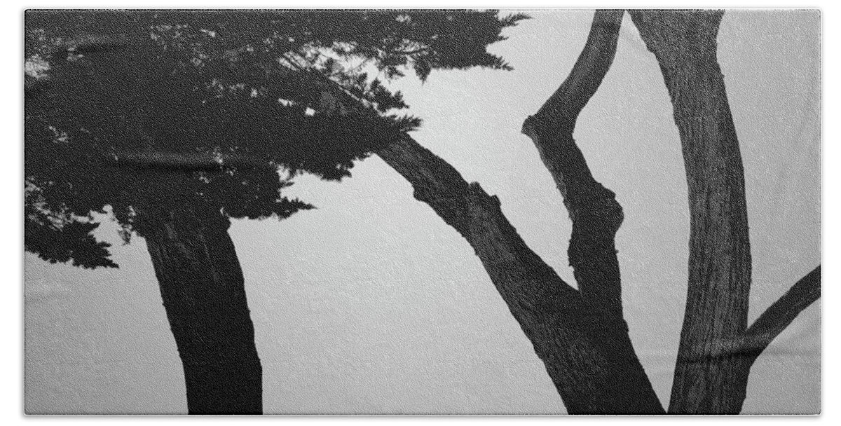 Tree Beach Towel featuring the photograph Monterey Cypress II BW by David Gordon