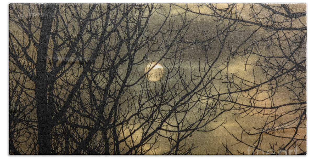 Cheryl Baxter Photography Beach Towel featuring the photograph Moody Winter Sky Through Trees by Cheryl Baxter