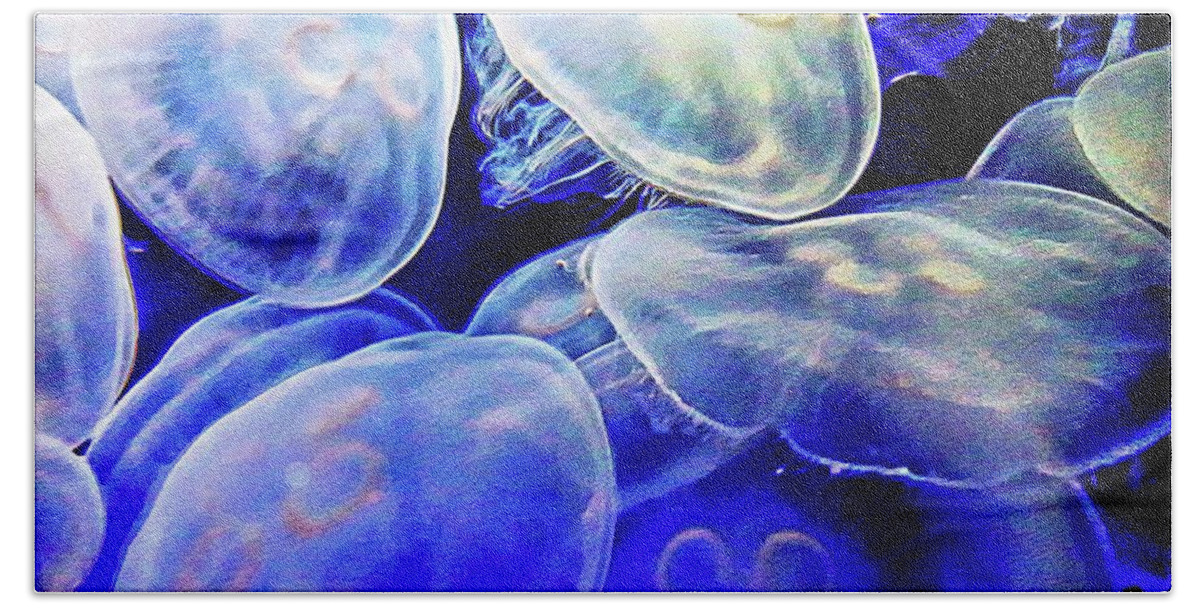 Jelly Fish Beach Towel featuring the photograph Moon Jellies by Stoney Lawrentz
