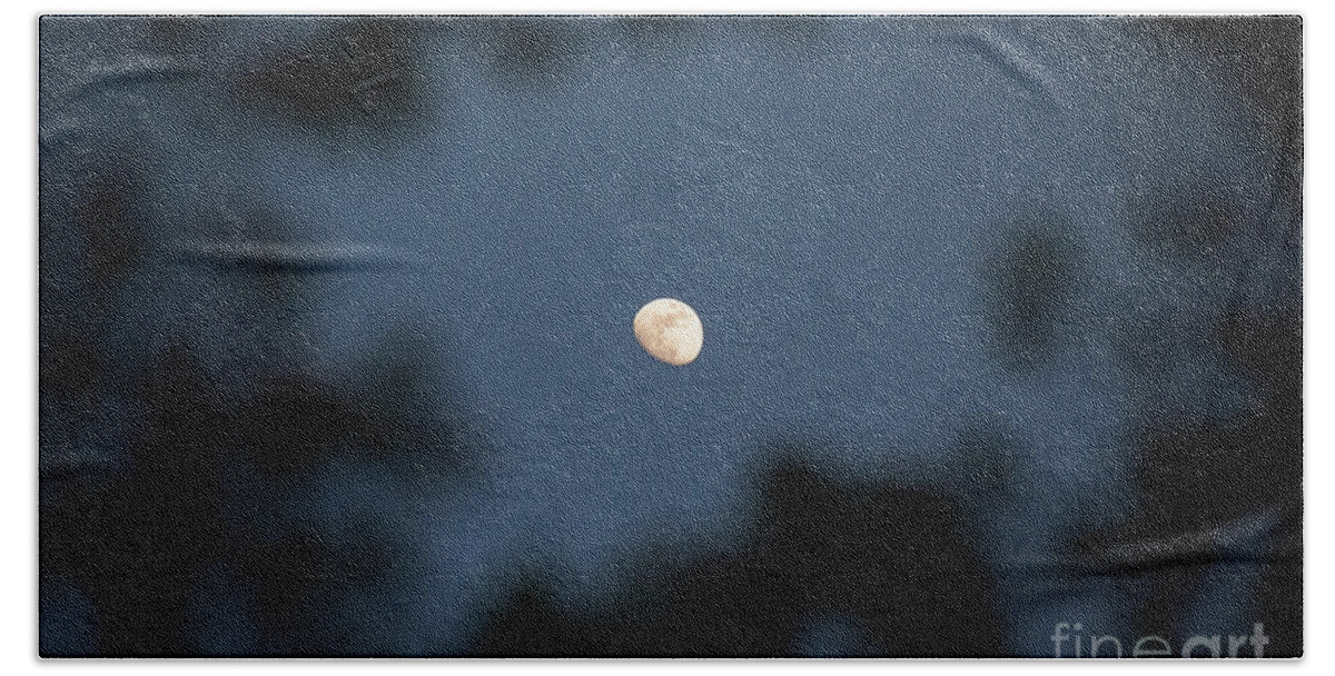 Moon Beach Towel featuring the photograph Moon Through The Trees by Sharon McConnell