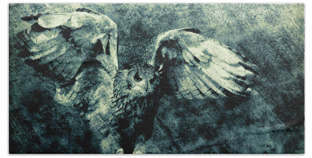 Owls Beach Towel featuring the digital art Moonlit Owl by Diane Chandler