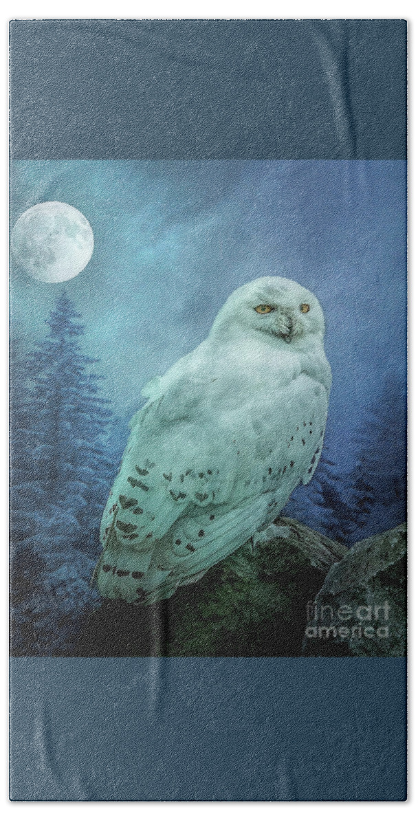 Snowy Owl Beach Towel featuring the photograph Moonlit Snowy Owl by Brian Tarr