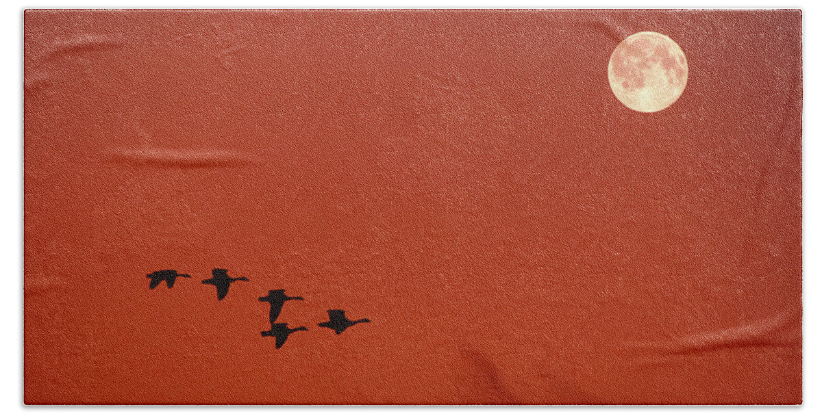 Canada Goose Beach Towel featuring the photograph Moonset by Tony Beck