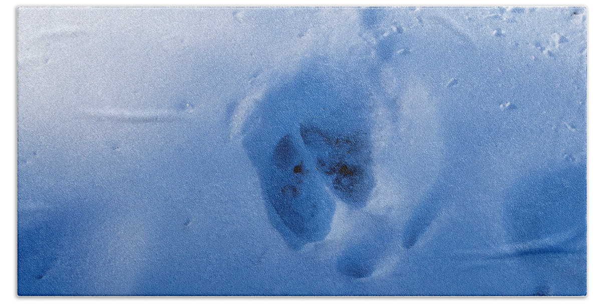 Snow Beach Towel featuring the photograph Moose Track by Cathy Mahnke