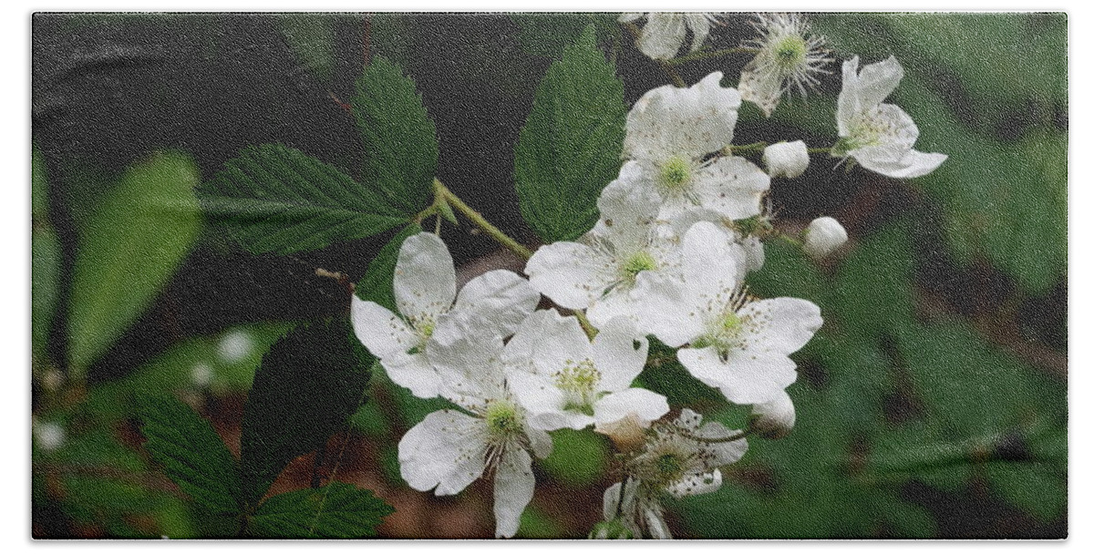 Flowers Beach Towel featuring the photograph More Blackberry flowers by Cathy Harper