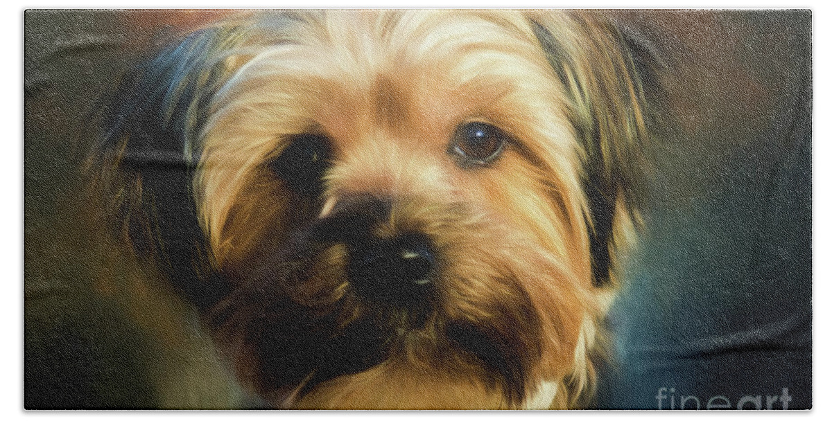 Morkie Beach Sheet featuring the photograph Morkie Portrait by Eleanor Abramson
