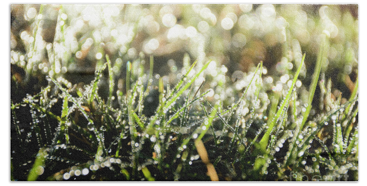 Morning Beach Sheet featuring the photograph Morning Dew on Green by Adrian De Leon Art and Photography