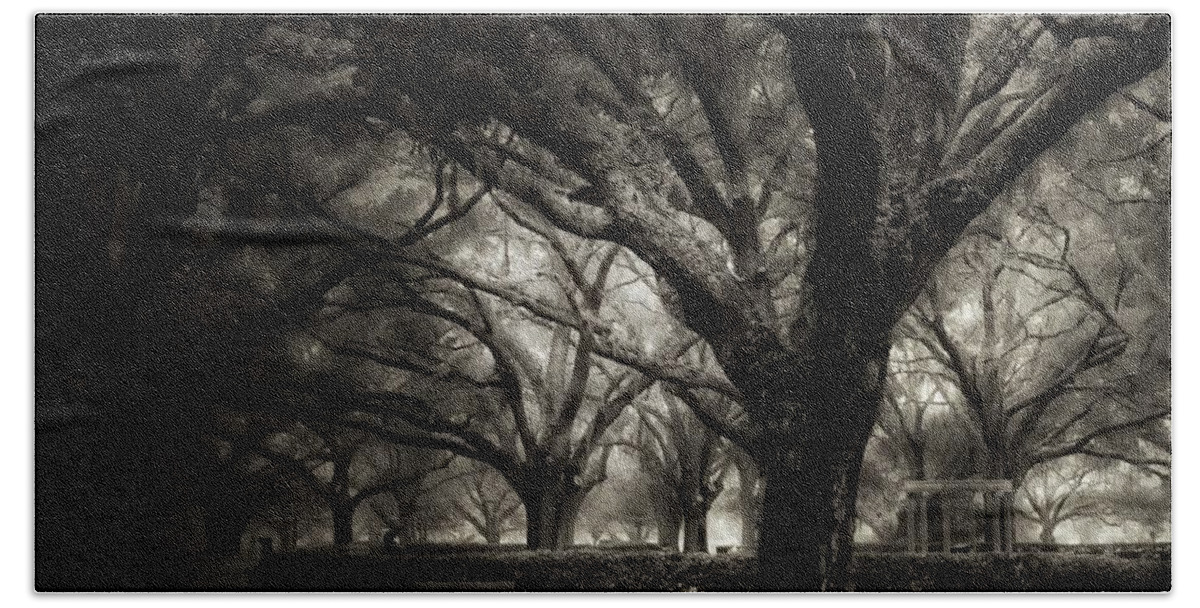  Beach Towel featuring the photograph Morning Fog by Stoney Lawrentz