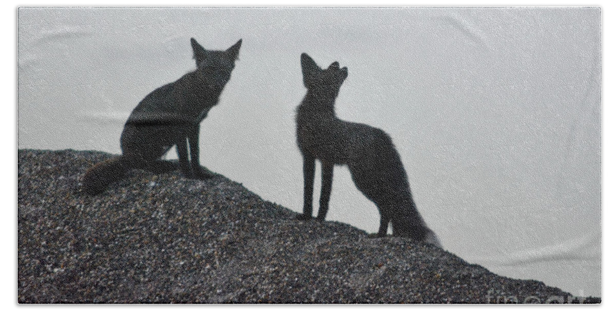 Fox Beach Sheet featuring the photograph Morning Foxes by Vivian Martin