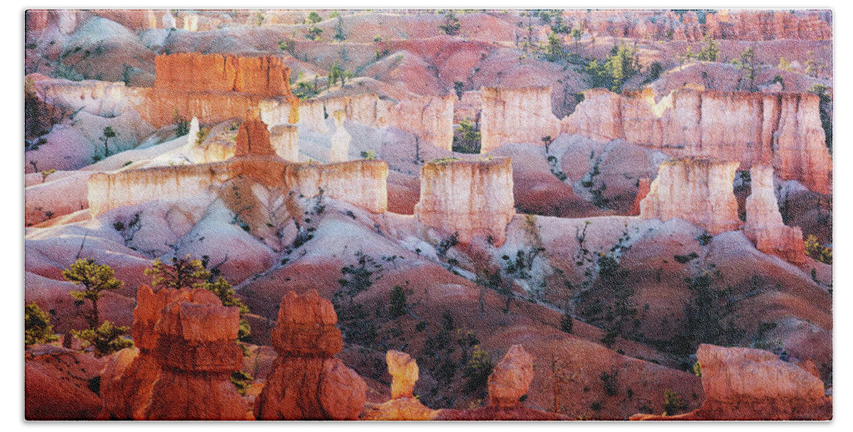 American Beach Towel featuring the photograph Morning Glow in Bryce Canyon by Alex Mironyuk