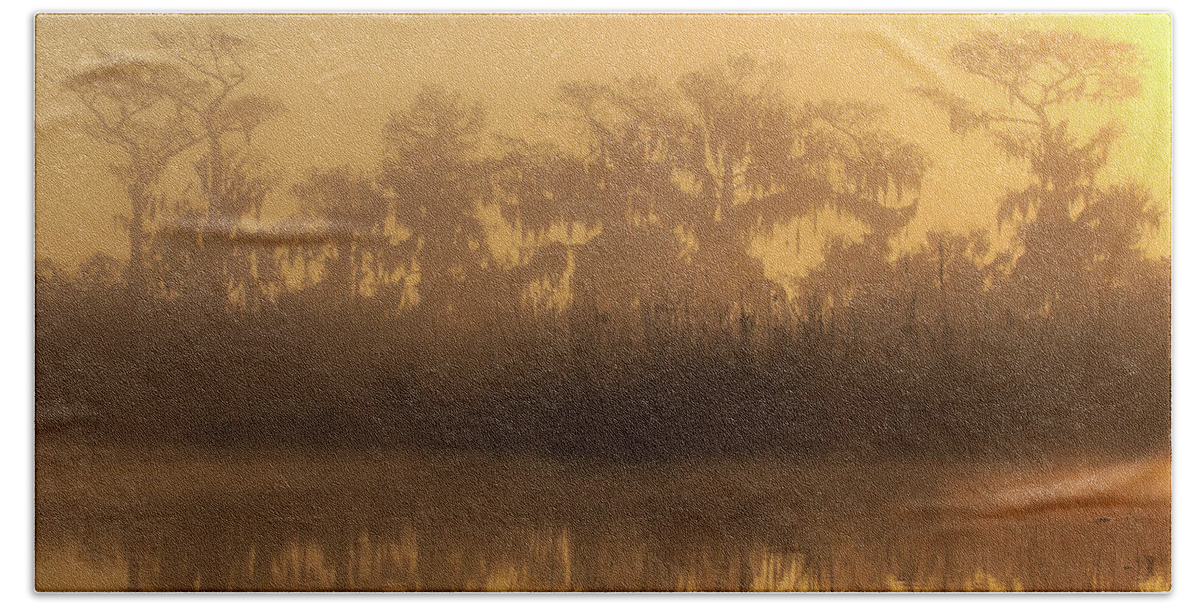 Florida Beach Towel featuring the photograph Morning Glow by Stefan Mazzola