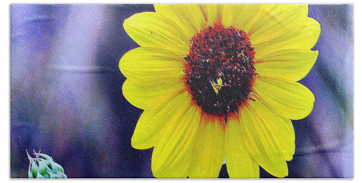 Sunflower Beach Towel featuring the photograph Morning by Marilyn Diaz