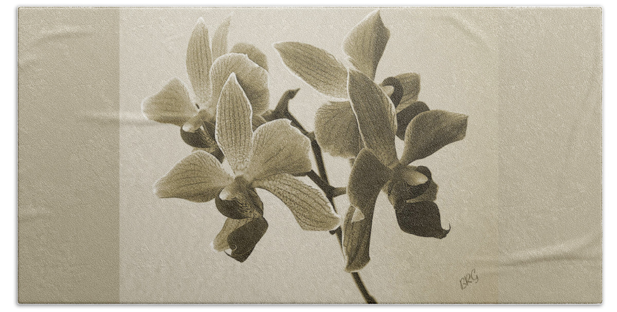 Orchid Beach Sheet featuring the photograph Morning Orchid by Ben and Raisa Gertsberg