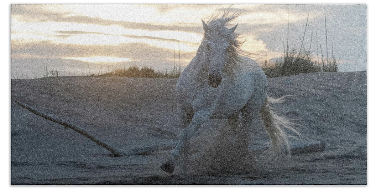 Horse Beach Sheet featuring the photograph Morning Stroll by Wade Aiken